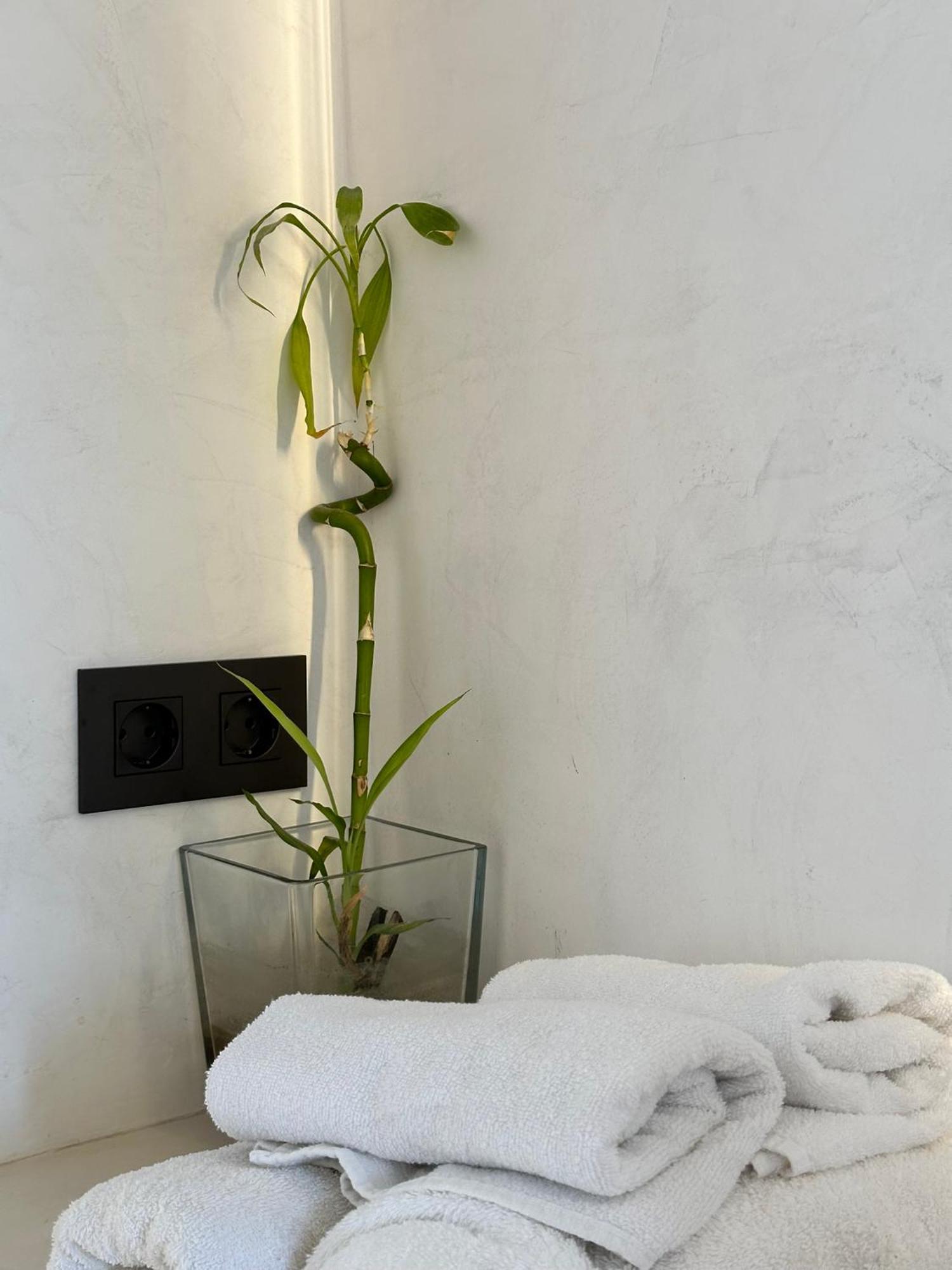 Aba Penthouse, Piscina&Azotea Privada Appartement Conil De La Frontera Buitenkant foto