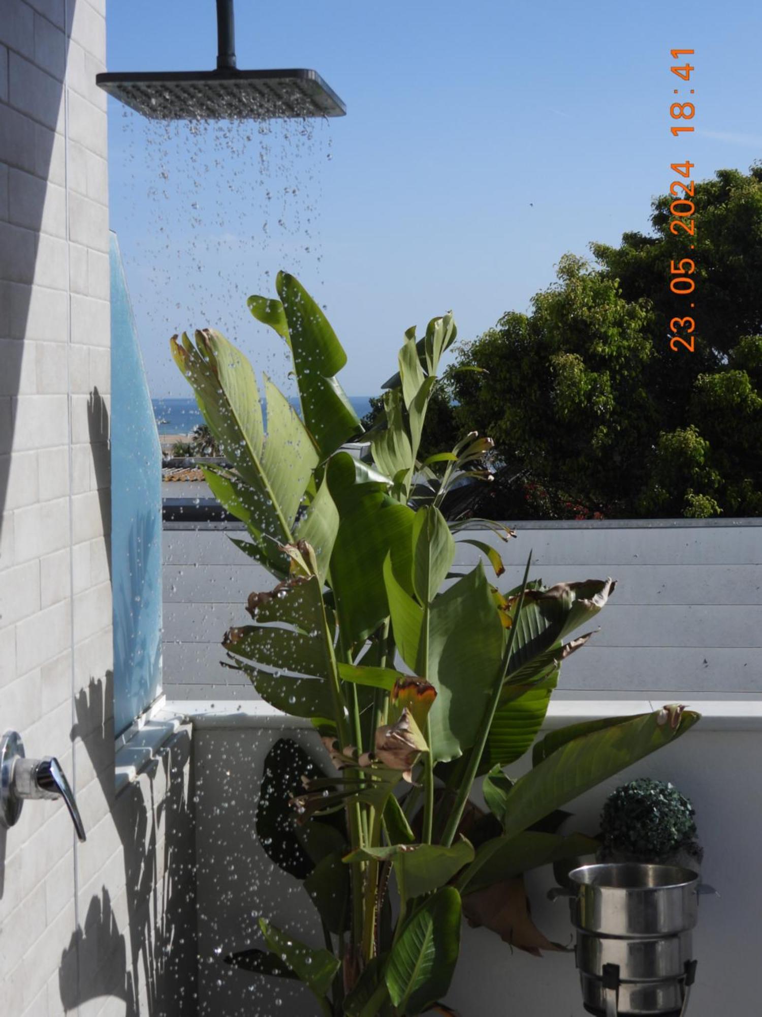 Aba Penthouse, Piscina&Azotea Privada Appartement Conil De La Frontera Buitenkant foto